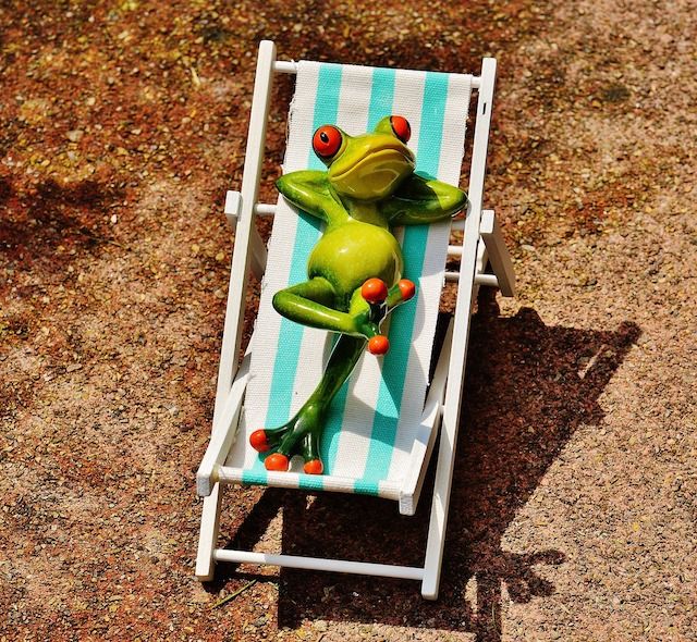 Sommerangebot Meister-Webdesign
